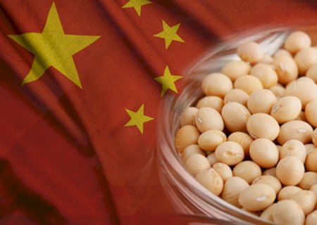 Com Brasil em destaque importações de soja pela China sobem 10,7% em junho