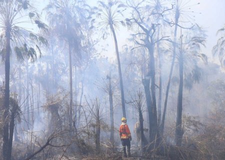 Após 101 dias de operação, Governo de MS anuncia fim dos focos de incêndios no Pantanal
