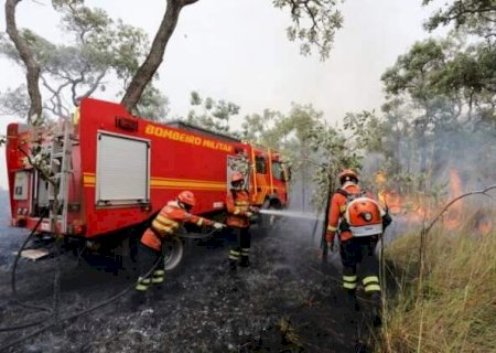 Garoa de só 3 mililitros é esperança para bombeiros no Pantanal
