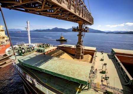 Comparativo anual: exportações de soja e milho apresentam queda em MS