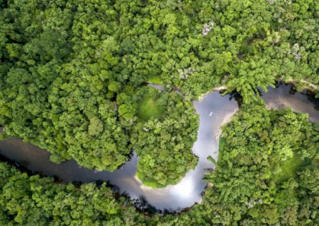 Amazônia tem 2,5 milhões de hectares queimados em agosto
