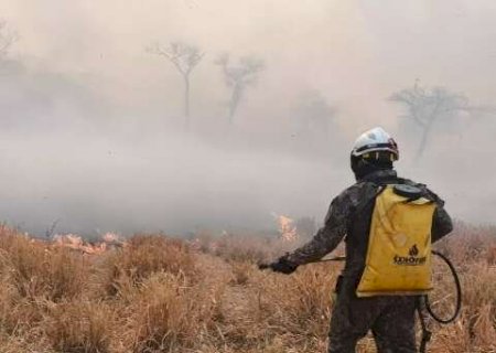 Mesmo após chuva e no frio, 4 regiões têm focos de incêndios no Pantanal