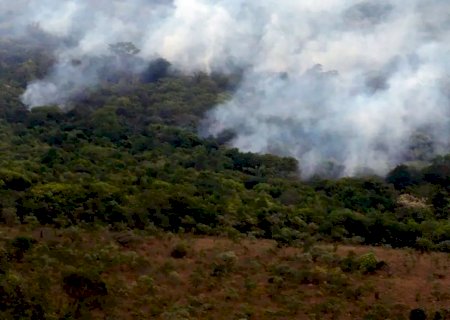 Desmatamento na Amazônia sobe em julho, mas tem queda de 45,7% entre 2023 e 2024
