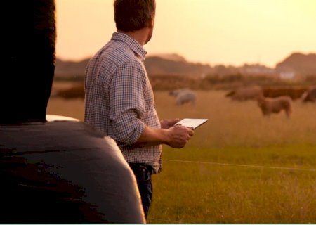 Otimismo dos agricultores permanece forte