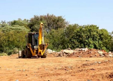 Idoso flagrado desmatando área de preservação passará por audiência de custódia