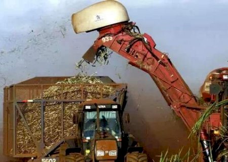 Produção de cana em MS pode cair 20% com mudanças climáticas
