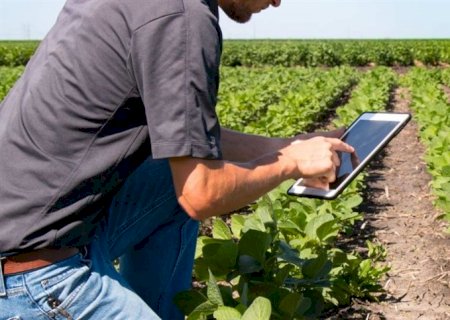 Estudo revela adesão à tecnologia no agro brasileiro