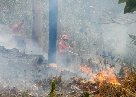 Inmet alerta para grande perigo de umidade abaixo de 12% com risco de incêndios florestais