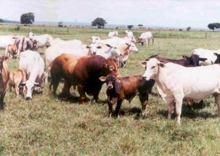 G20 Agro: os acordos estabelecidos entre o Brasil e outros países