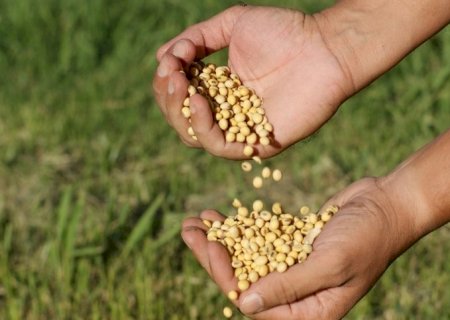 Lucre 22,59% com venda antecipada de soja