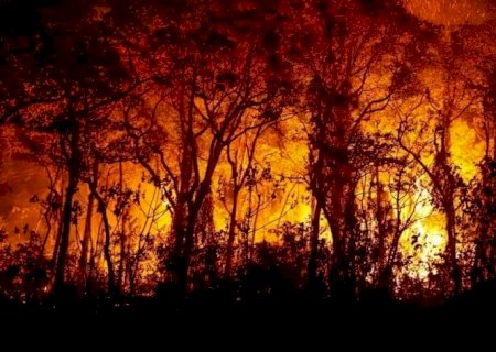 Governos estaduais e federal pecam na prevenção de incêndios