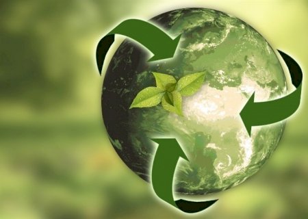 Líder em proteção de cultivos foca em sustentabilidade