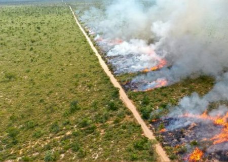 Agro de MS já sofreu R$ 1,4 bilhão em prejuízos com incêndios, calcula CNA