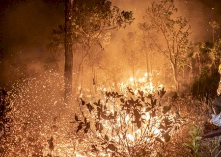 Manejo com fogo, contrafogo e queimada - entenda a diferença