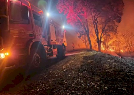 Pantanal deve “sumir” antes do fim do século, diz climatologista