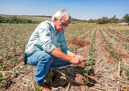 MS: é o momento de plantar a soja?