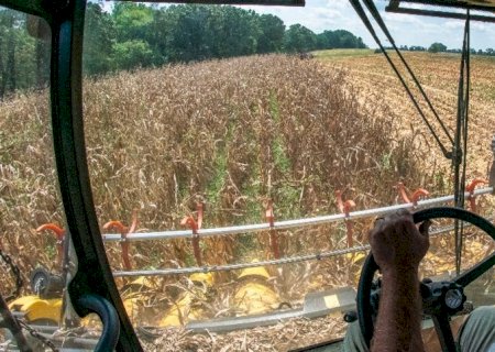 MS: estresse hídrico impactou mais de 90% dos municípios