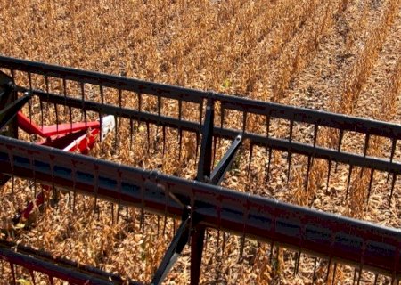 Produção de soja deve atingir 153 milhões de toneladas