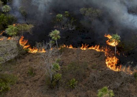Ibama aplica multas de R$ 107 milhões por incêndio iniciado em ferrovia no pantanal