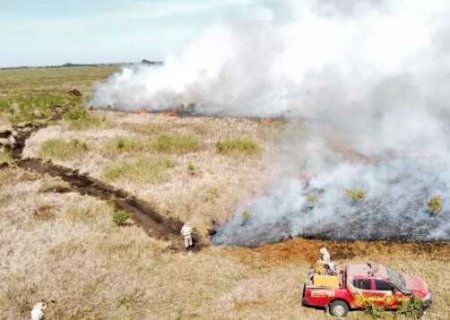 FCO Pantanal terá empréstimo de 100% para produtores afetados por incêndios