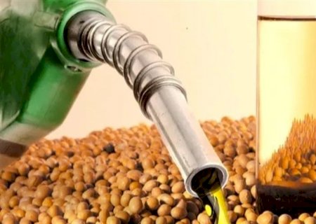 Consumo de milho por usinas de etanol cresce 6,42%
