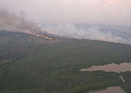 Área queimada no Pantanal de MS 'cai' 784 mil hectares após método mudar