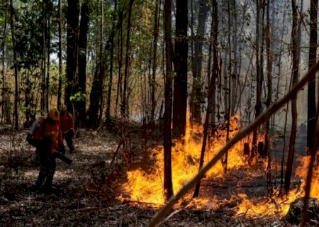 Brasil tem 3.640 focos de incêndio, mais da metade na Amazônia