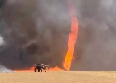 Após incêndio, replantio de cana-de-açúcar terá recursos do Plano Safra
