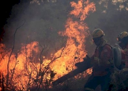 Após agosto recorde, área queimada em setembro no Brasil quase dobrou