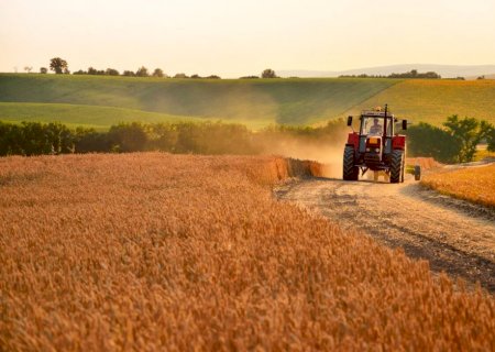 Simples Nacional: empresas do agro representam apenas 2,2% do total, mostra estudo