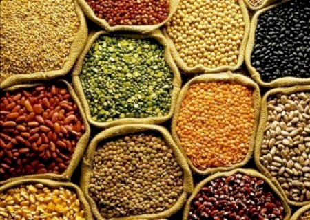 Produção de grãos no Brasil deve crescer 27% em dez anos, impulsionada por soja, milho e trigo