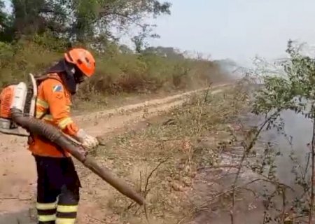 Equipes combatem incêndios florestais em diversos municípios no Mato Grosso do Sul