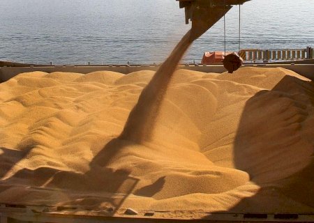 Brasil embarcou 5,539 milhões de t da soja em setembro, aponta ANEC