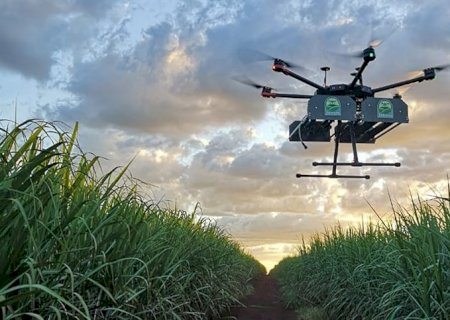 Drones e maturador otimizam colheita de cana