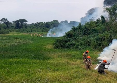 Chuvas no Pantanal de MS ajudam no controle de focos, mas Bombeiros mantém ações