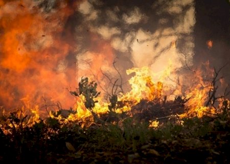 Incêndios florestais custam R$ 2,5 bi ao agro