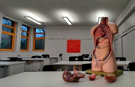 Dicas para gabaritar a prova de Ciências da Natureza: Biologia, Química e Física
