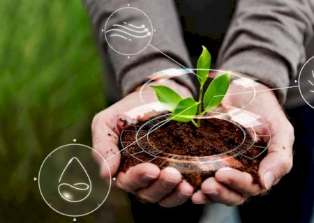 5 passos para tornar o agronegócio brasileiro mais sustentável e eficiente