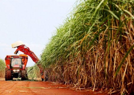 Com 34 milhões de toneladas de cana processadas, moagem cresce 2,75%