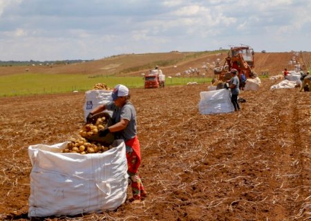 No 2° trimestre, o crescimento dos agrosserviços impulsionou o recorde no número de pessoas empregadas no setor agropecuário