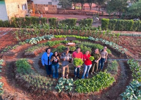 Bolsistas do Pictec inovam agricultura familiar em Anhanduí com apoio da Fundect
