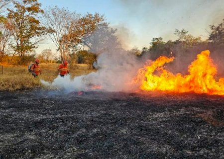 Pantanal de MS tem quatro focos de incêndios ativos e trabalho de combate no bioma completa 198 dias