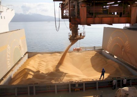 Soja: embarques devem chegar a 4,124 milhões de t no Brasil em outubro