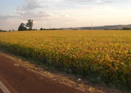 Safra recorde e logística desafiadora em 2025