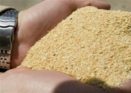 Esmagamento de soja deve chegar a 54,5 milhões/ton