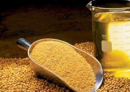 Abiove estima aumento de 9,4% na safra de soja do Brasil em 2025