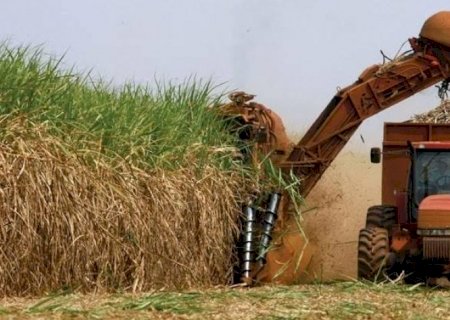 Mercado de crédito de carbono pode aumentar ganhos de produtores de cana