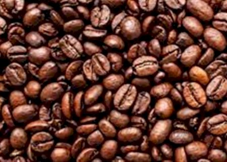 Brasil exportou 4,9 milhões de sacas de café em outubro