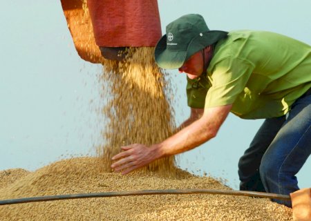 Recuperação judicial: agro tem alta de 20,5% no 3º tri no número de empresas