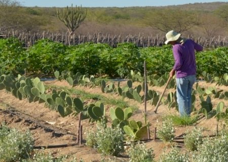 Projeto exige distância mínima entre moradia de trabalhador rural e depósito de defensivos